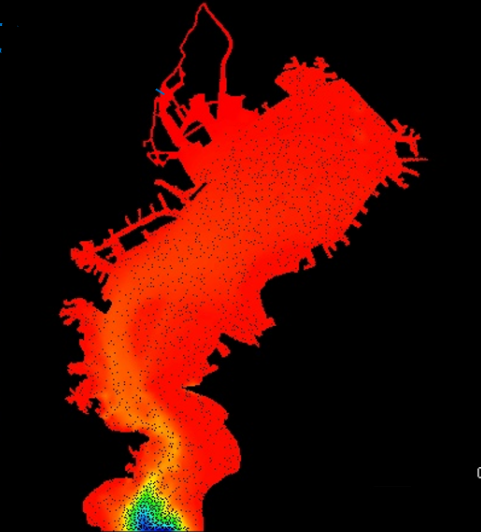 2021年度 年次報告書